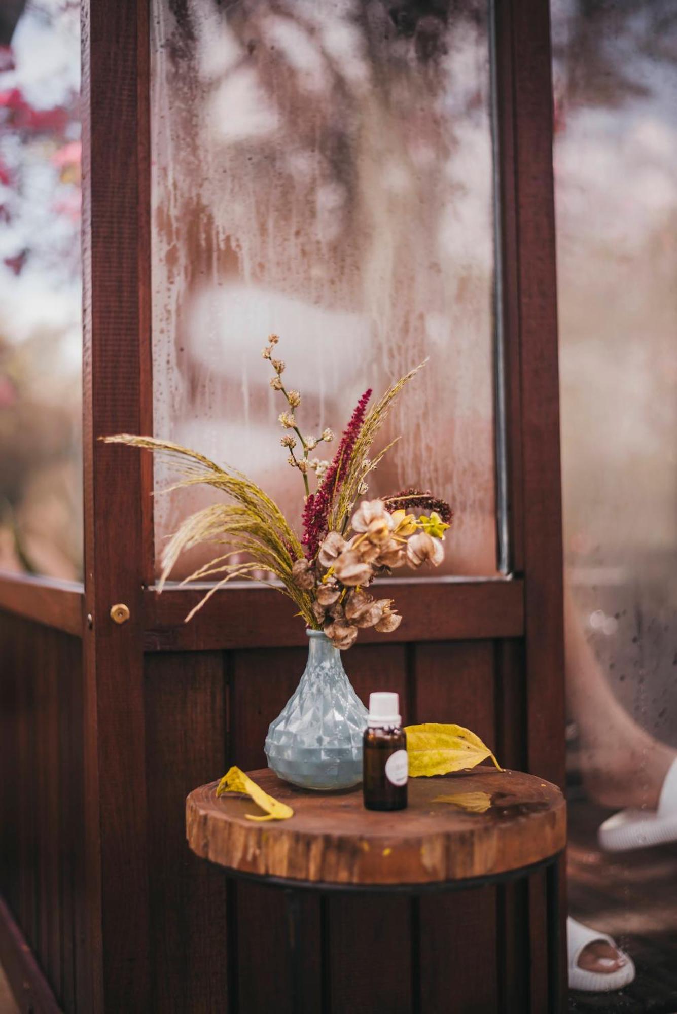 Fazenda Bosque Belo Bagua Guest House โบยตูวา ภายนอก รูปภาพ
